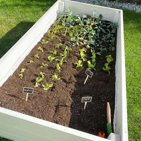 Alojamento de Acomodação e Pequeno-almoço Apulia Casa E Cucina