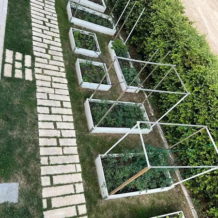 Apulia Casa E Cucina